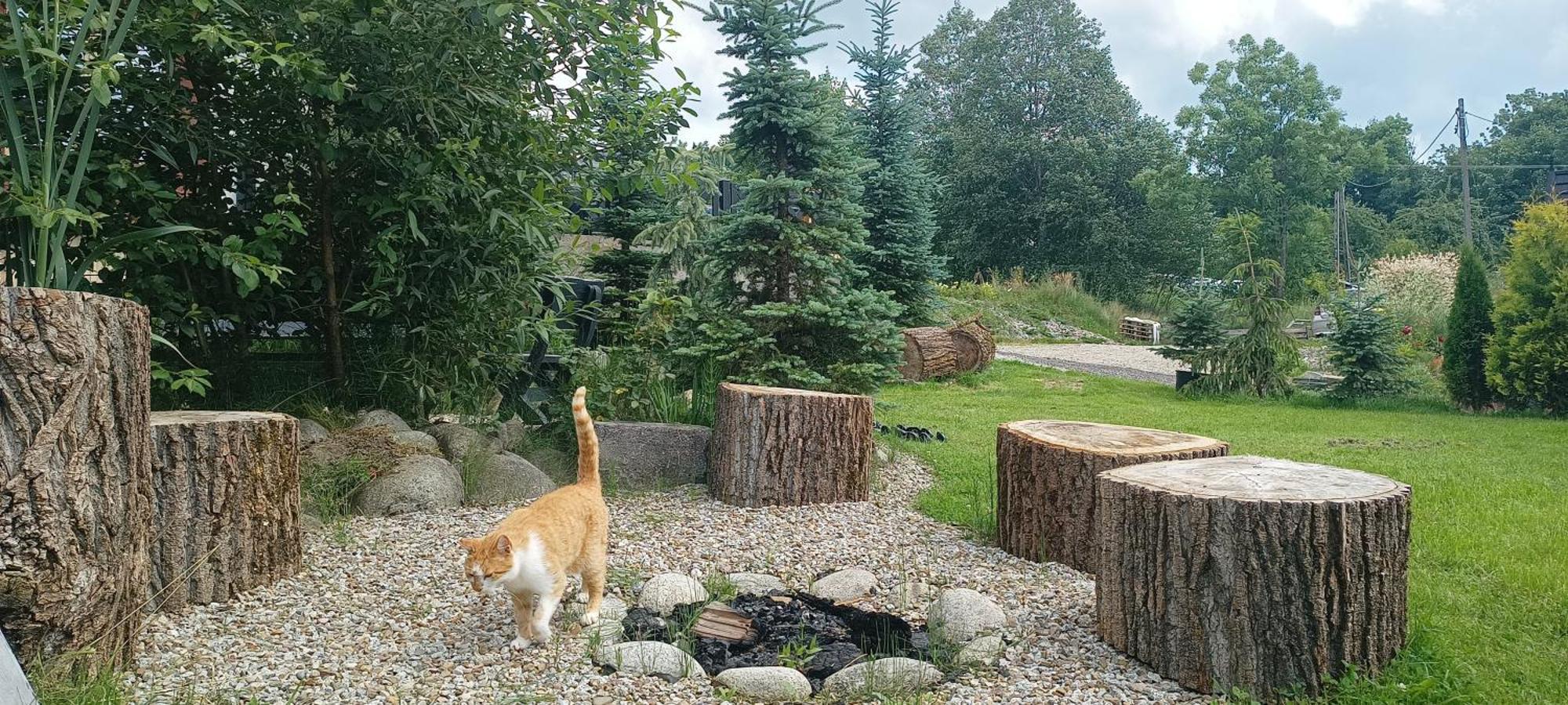 Lux Houses W Domku Tylko Dwa Apartamentyz Jacuzzi Zewnetrznym Groń Buitenkant foto